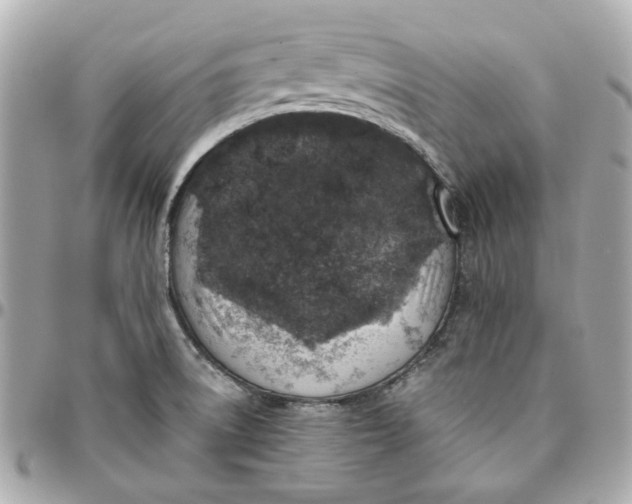 X0000095881522200802011032