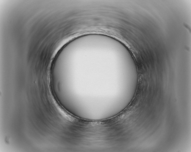 X0000095881523200802011032