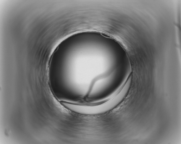 X0000095881524200802011032