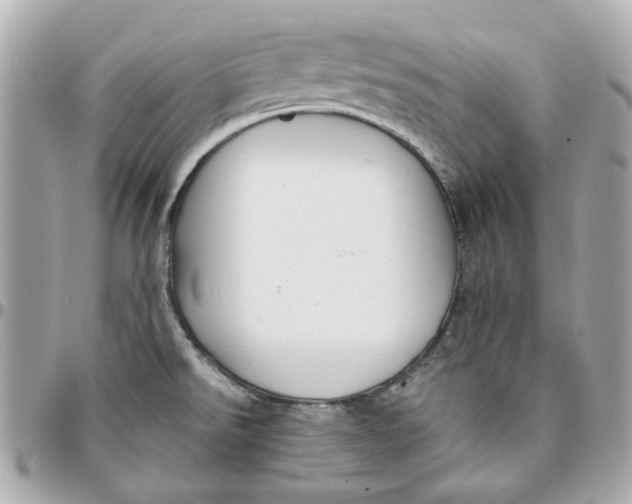 X0000095881526200802011032