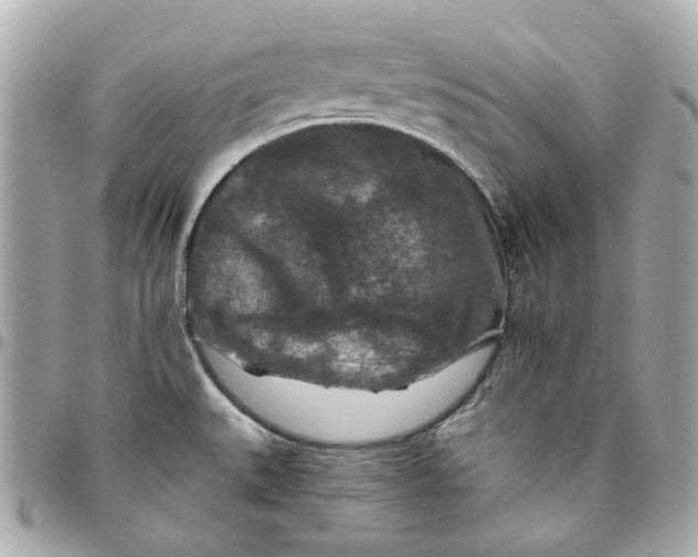 X0000095881527200802011033