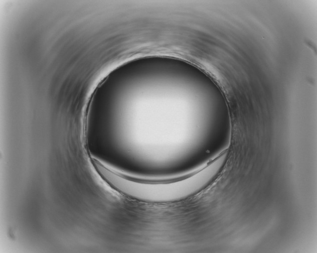 X0000095881528200802011033