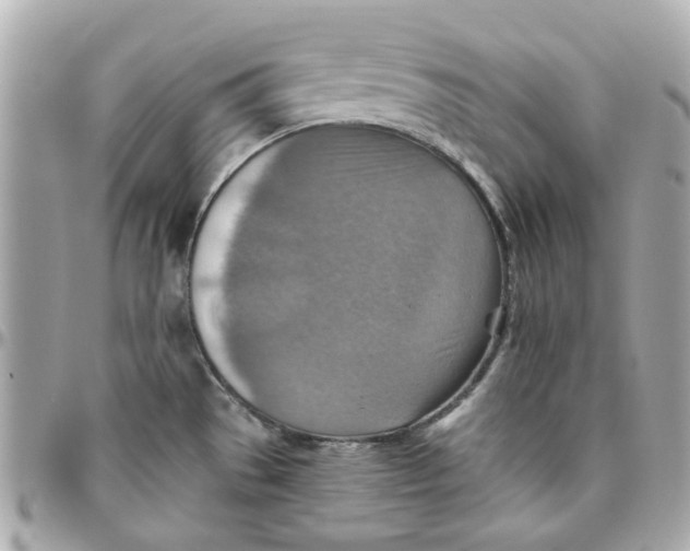 X0000095881529200802011033