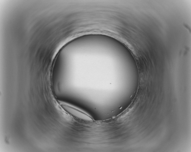 X0000095881530200802011033