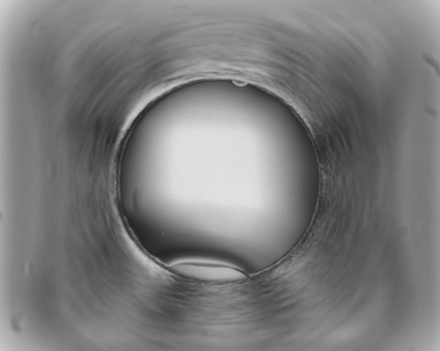 X0000095881531200802011033