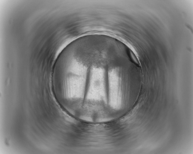 X0000095881533200802011033