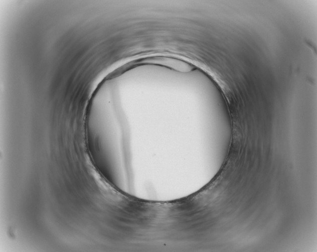 X0000095881534200802011033