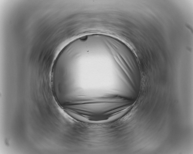 X0000095881535200802011033