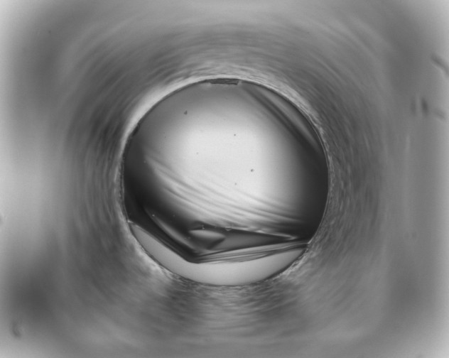 X0000095881536200802011033