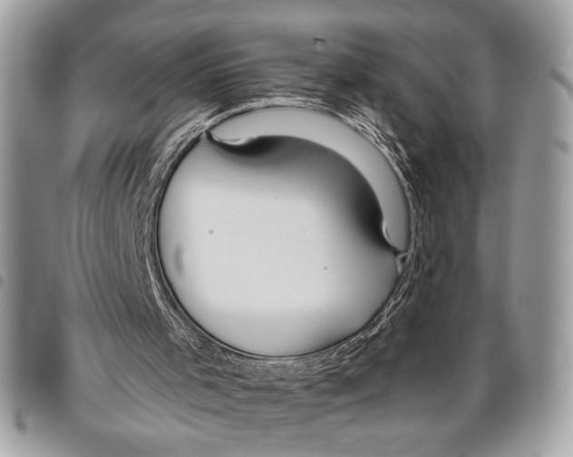 X0000095880001200802081105