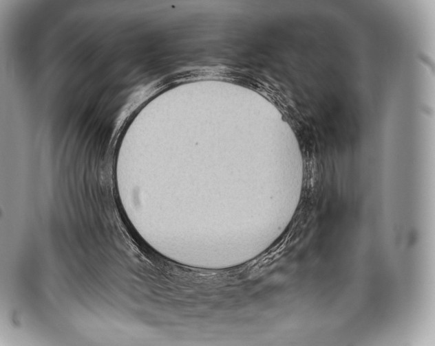 X0000095880004200802081105