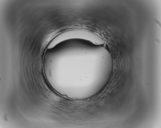 X0000095880005200802081105