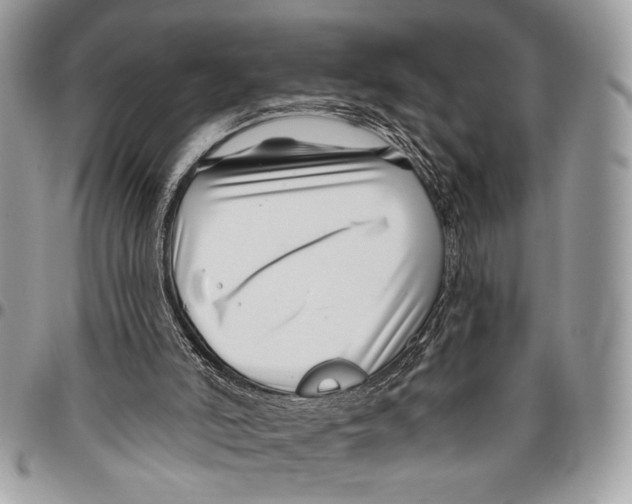 X0000095880006200802081105