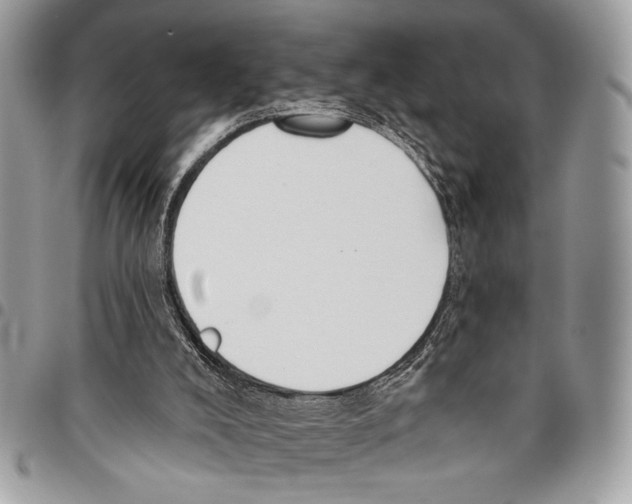 X0000095880008200802081105