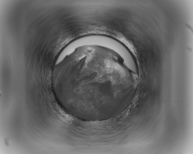 X0000095880009200802081105