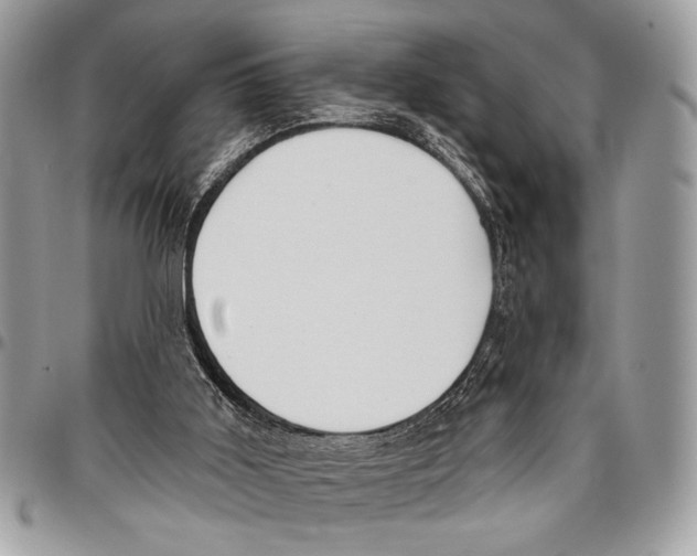 X0000095880011200802081105