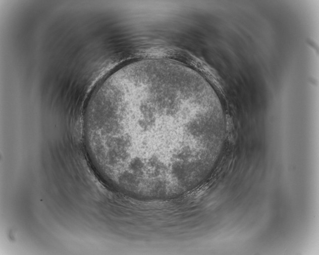 X0000095880012200802081105