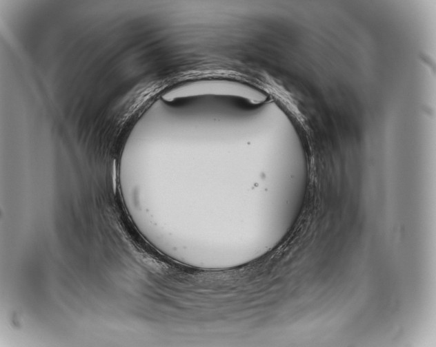 X0000095880013200802081105