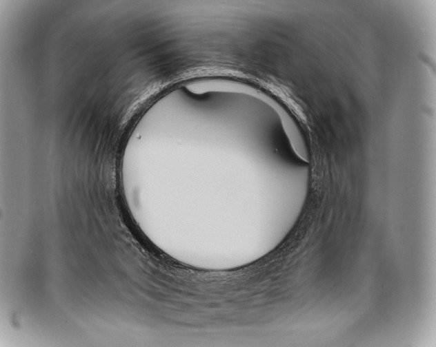 X0000095880015200802081105