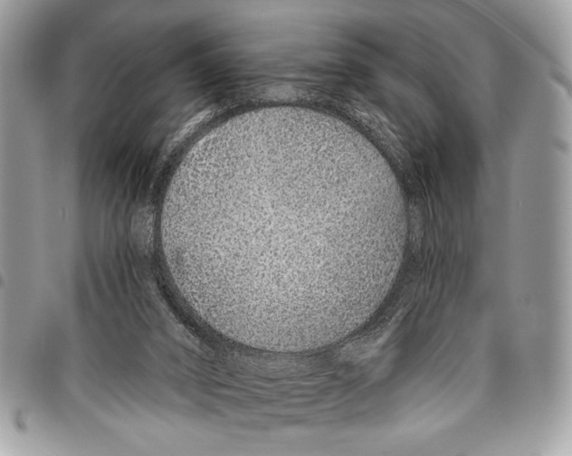 X0000095880016200802081105