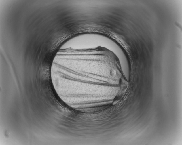 X0000095880017200802081105