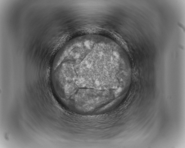 X0000095880018200802081105