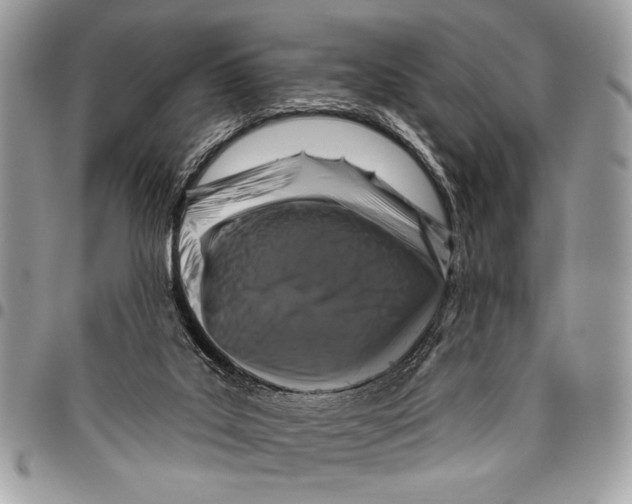 X0000095880019200802081105