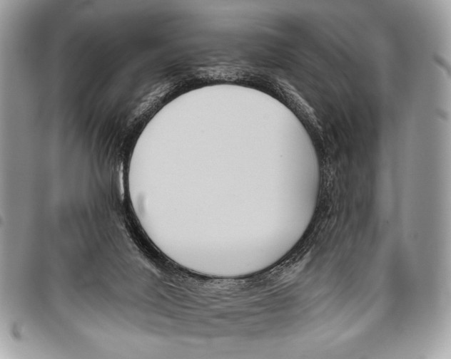 X0000095880020200802081105