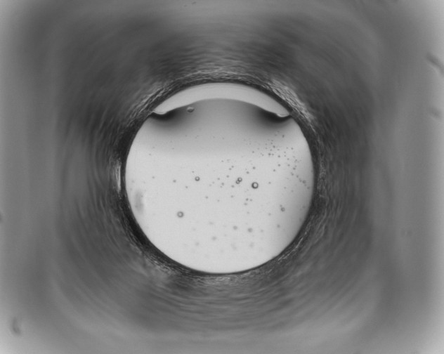 X0000095880021200802081105