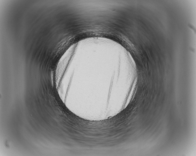 X0000095880022200802081105