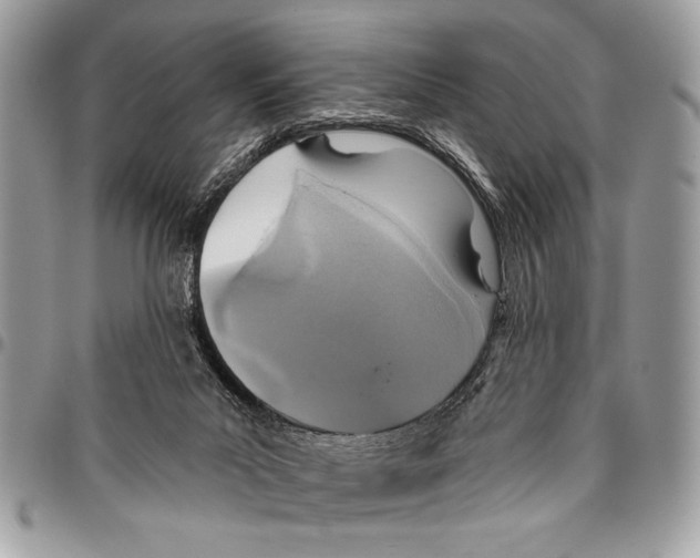 X0000095880023200802081105