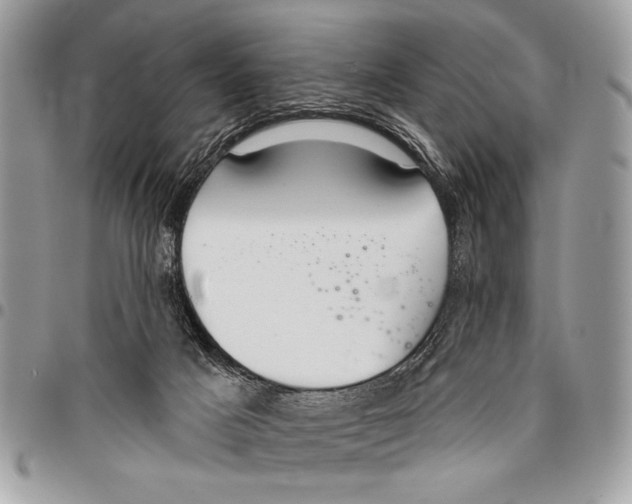 X0000095880025200802081105