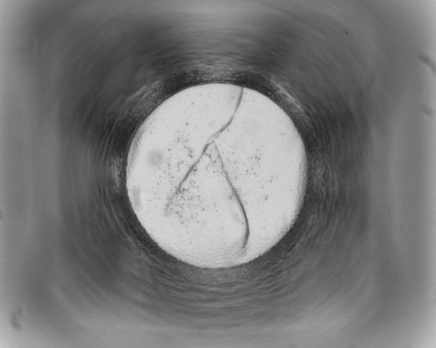 X0000095880026200802081105