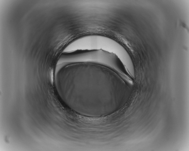 X0000095880027200802081105