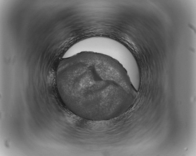 X0000095880029200802081105