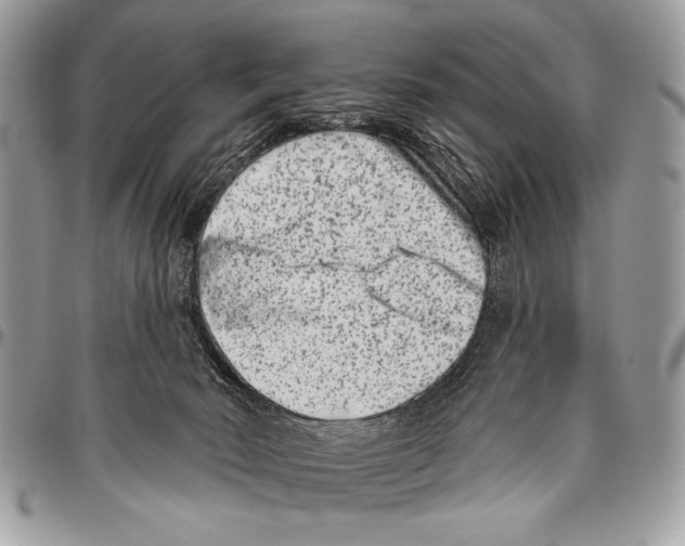 X0000095880030200802081105