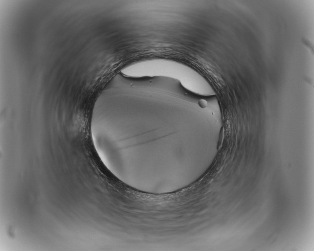 X0000095880031200802081105