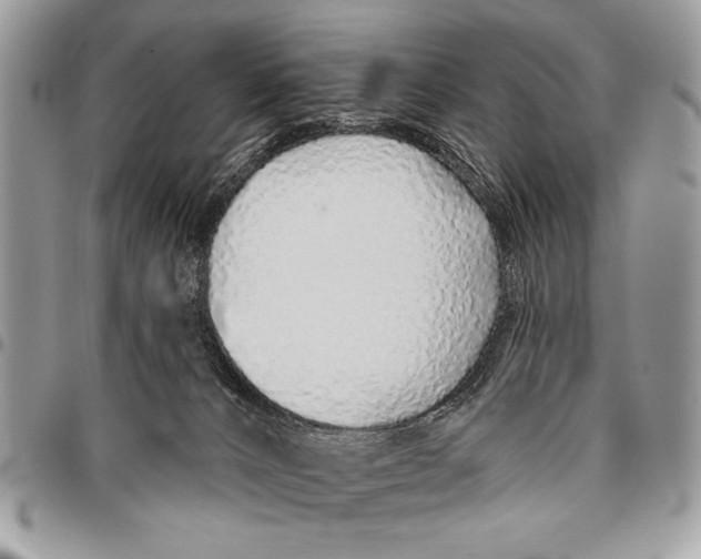 X0000095880032200802081105