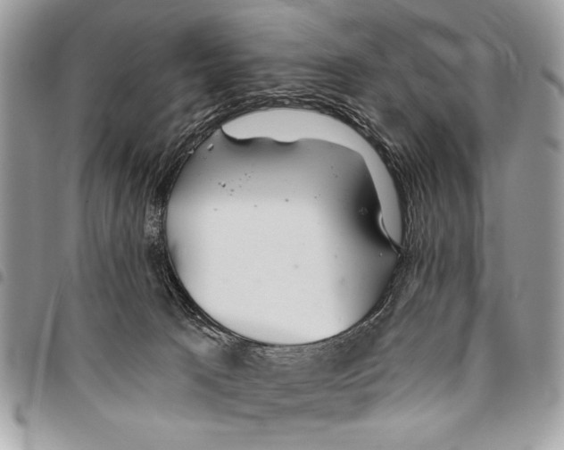 X0000095880033200802081105