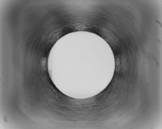 X0000095880034200802081105