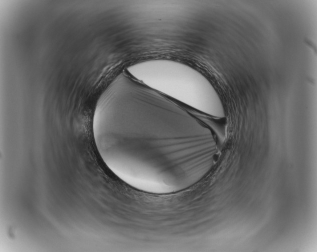 X0000095880035200802081105