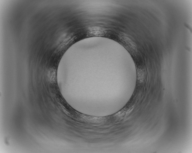 X0000095880036200802081105