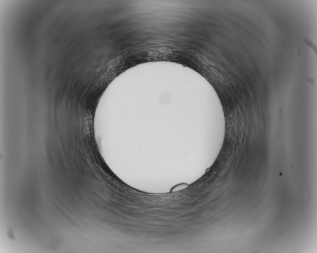 X0000095880038200802081105