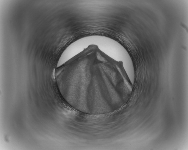 X0000095880041200802081105