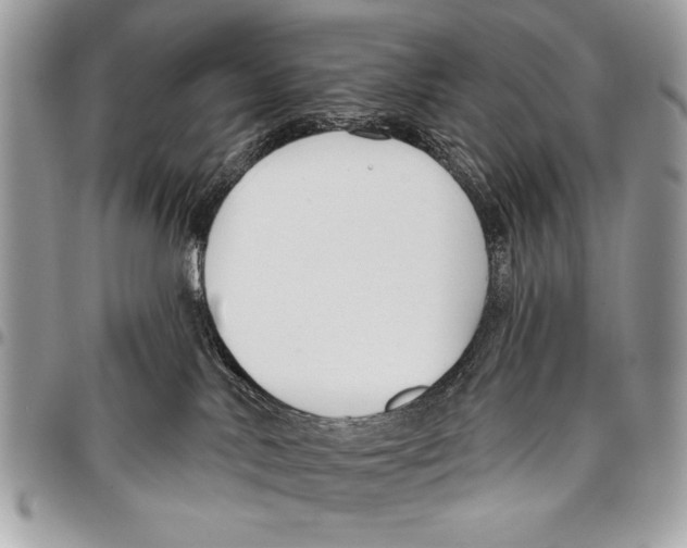 X0000095880042200802081105