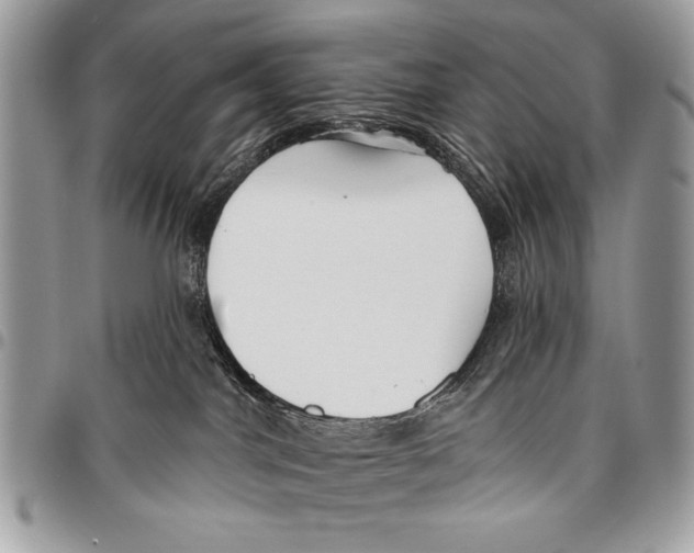 X0000095880044200802081105