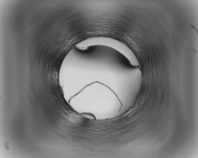 X0000095880045200802081105