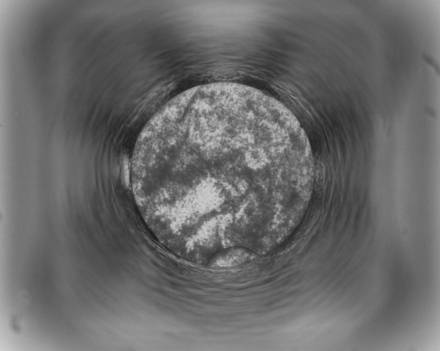 X0000095880046200802081105