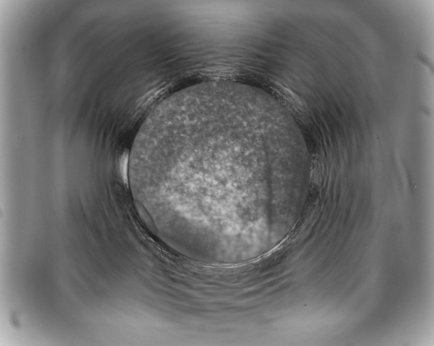 X0000095880047200802081105