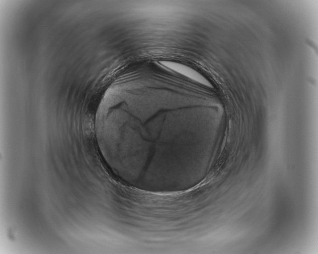 X0000095880048200802081105